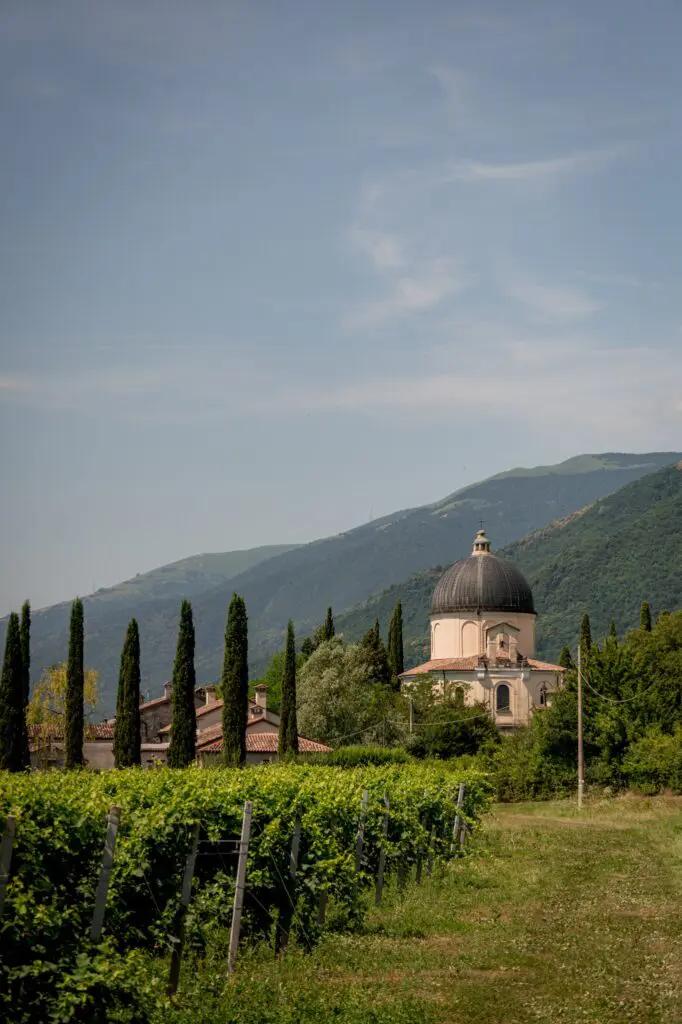 Weinberg mit einer Kirche mit Kuppel und Zypressen in Venetien, Italien