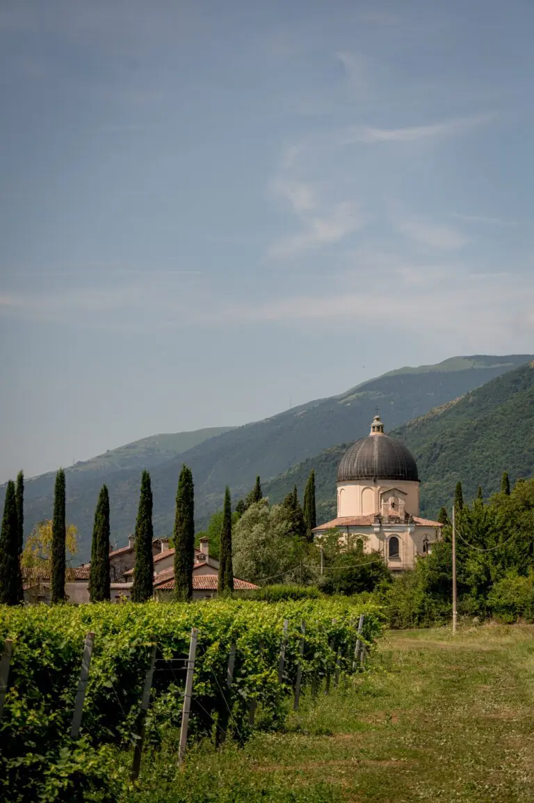 Weinberg mit einer Kirche mit Kuppel und Zypressen in Venetien, Italien