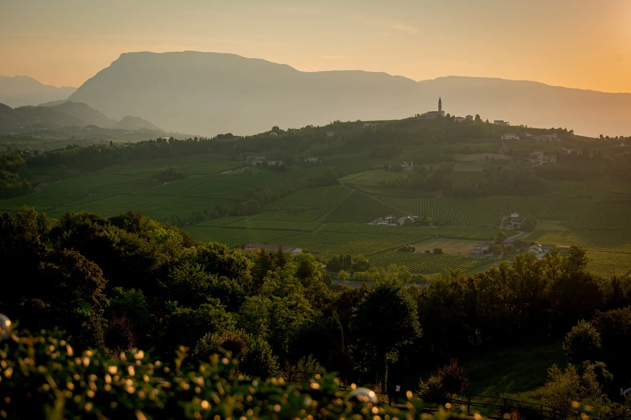 Weinberge und ein Dorf mit Glockenturm bei Sonnenuntergang in Venetien