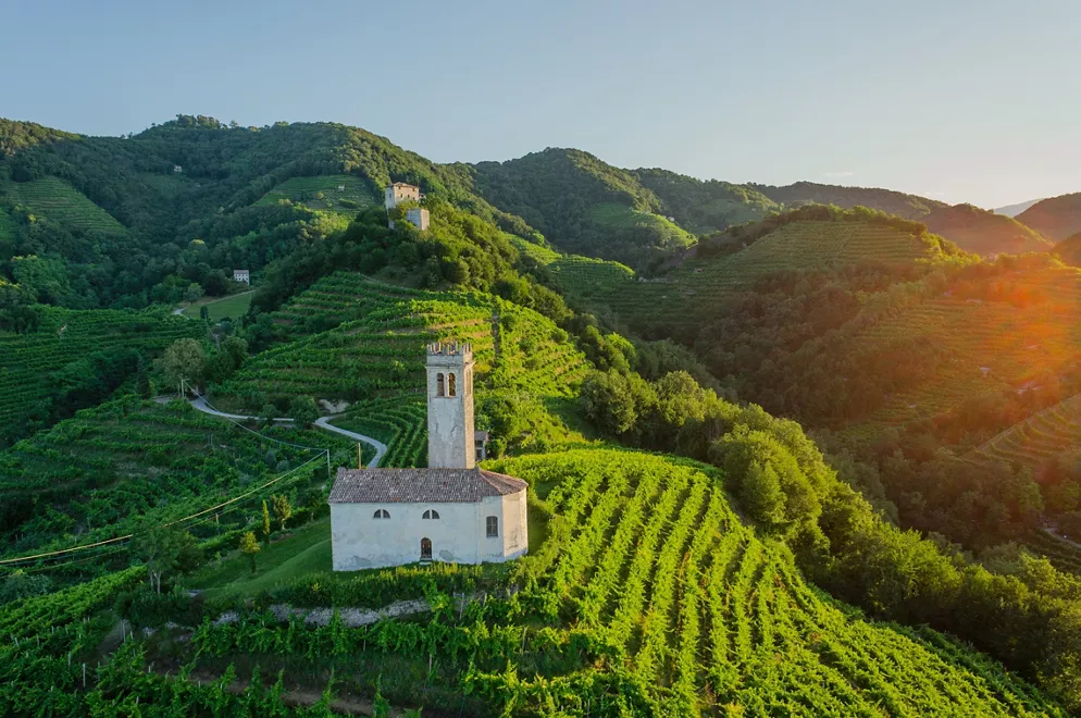 panoramablick auf die weinberge in veneto wijngaarden in veneto