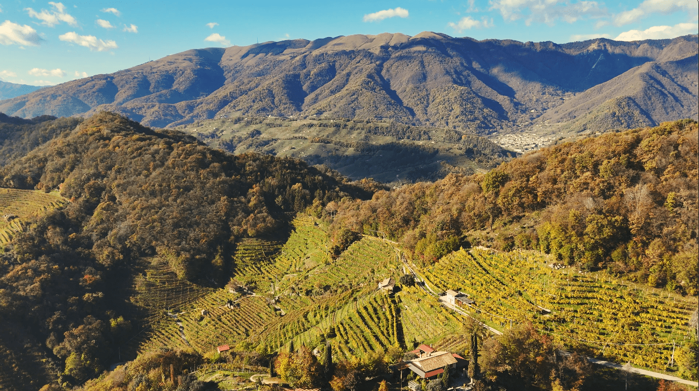 Panorama der Prosecco-Hügel mit goldenen Weinbergen und bewaldeten Hügeln unter klarem Himmel, ideal für Weintourismus.