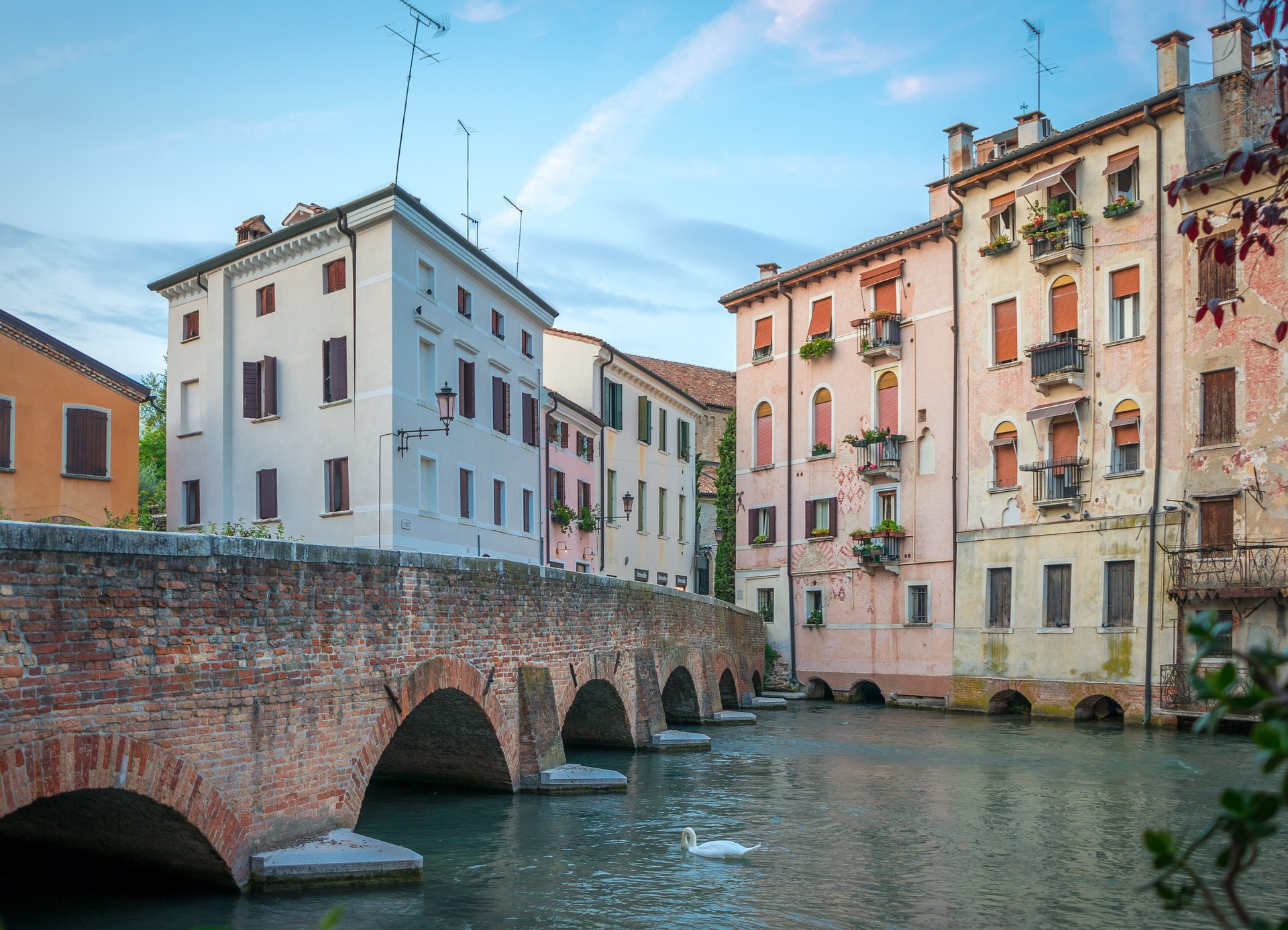 Historische Ziegelbrücke in Treviso über einen ruhigen Fluss, mit pastellfarbenen Häusern, einem weißen Schwan und einem blauen Himmel.