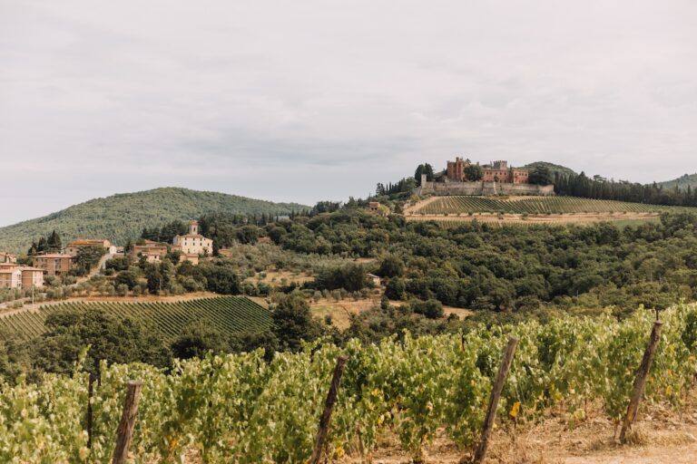 Weinberge Toskana Rundreise
